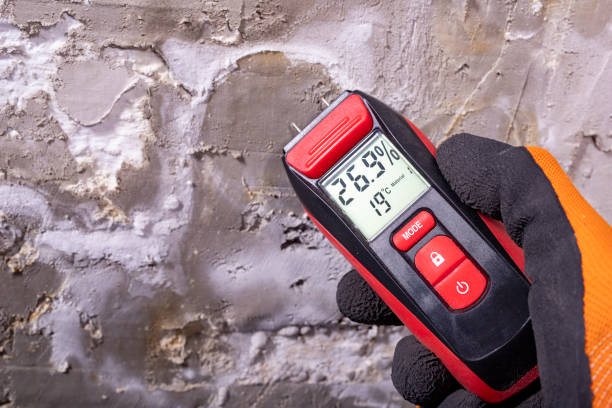 Best Kitchen Mold Remediation in Spring Valley Village, TX